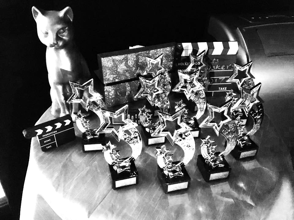 The Cat's Whiskers awards, lined up and ready to be delivered to a deserving company member.