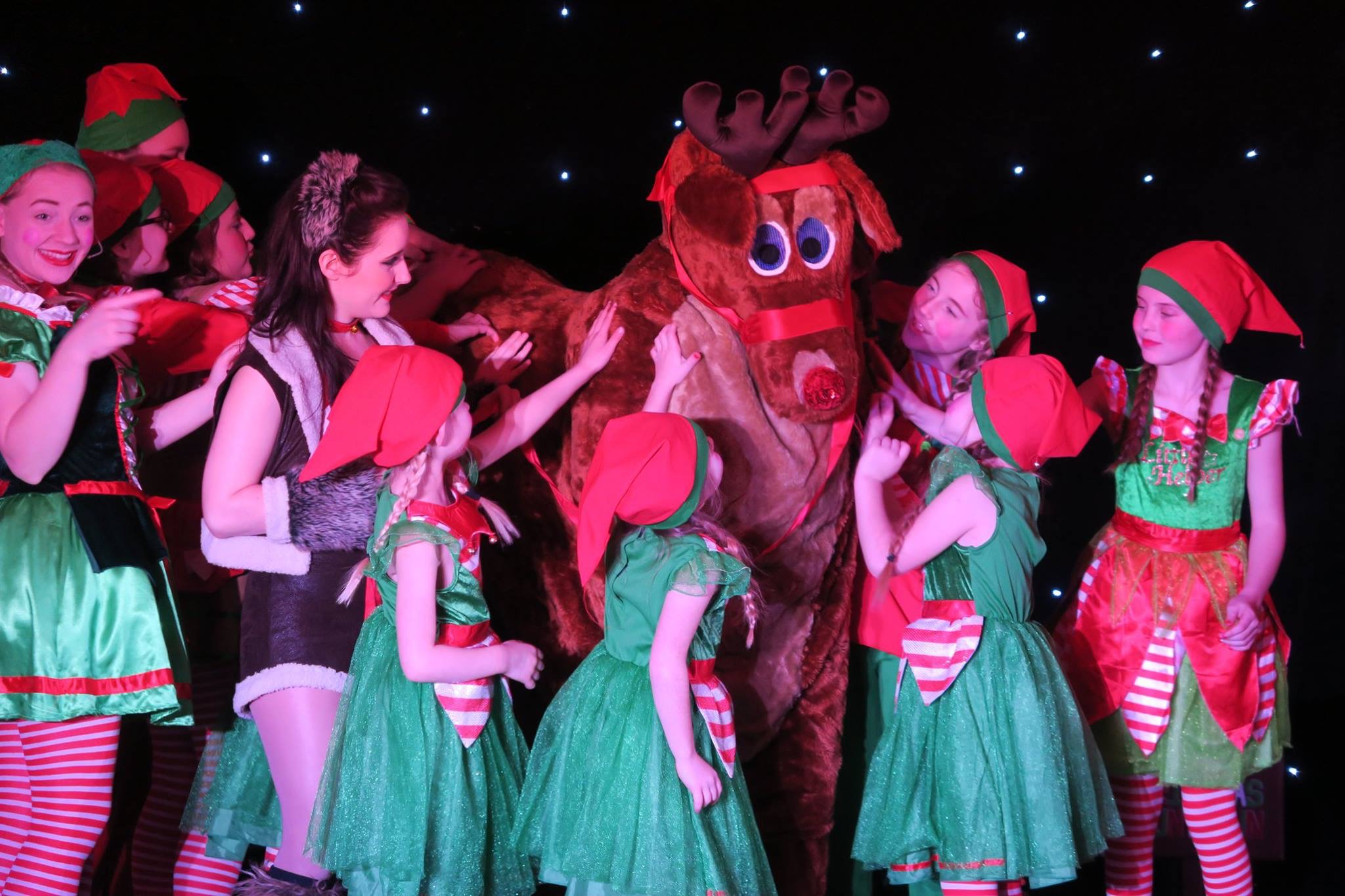 The elves gather round rudolph to say well done in the Nine Lives Christmas Show.